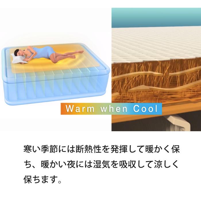 INTEX エアーベッド ポンプ付き クイーンサイズ ベッド キャンプ 来客