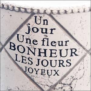 植木鉢 陶器 寄せ植え 中型 オシャレ Lサイズ 円形型 ガーデニング 鉢 植え替え 花 多肉 多肉植物 |  | 01