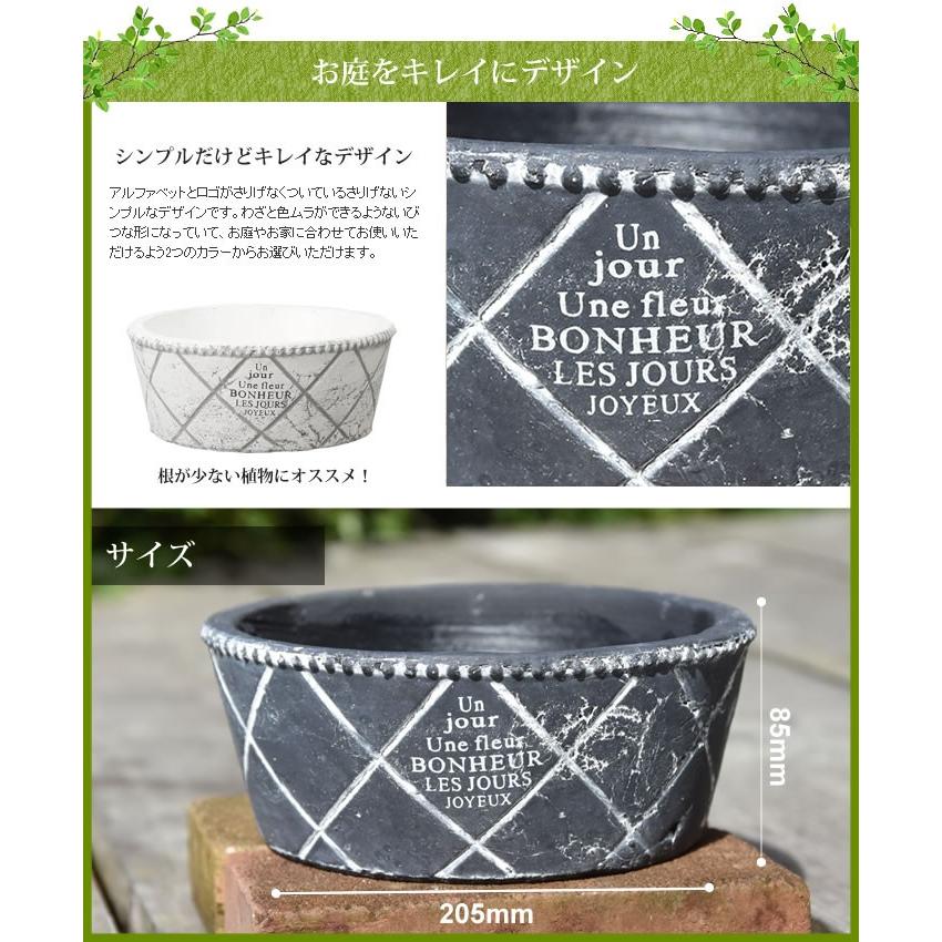 陶器製円形植木鉢 中型 突起デザイン 植木鉢 陶器 寄せ植え 中型 オシャレ Mサイズ 円形型 ガーデニング 鉢