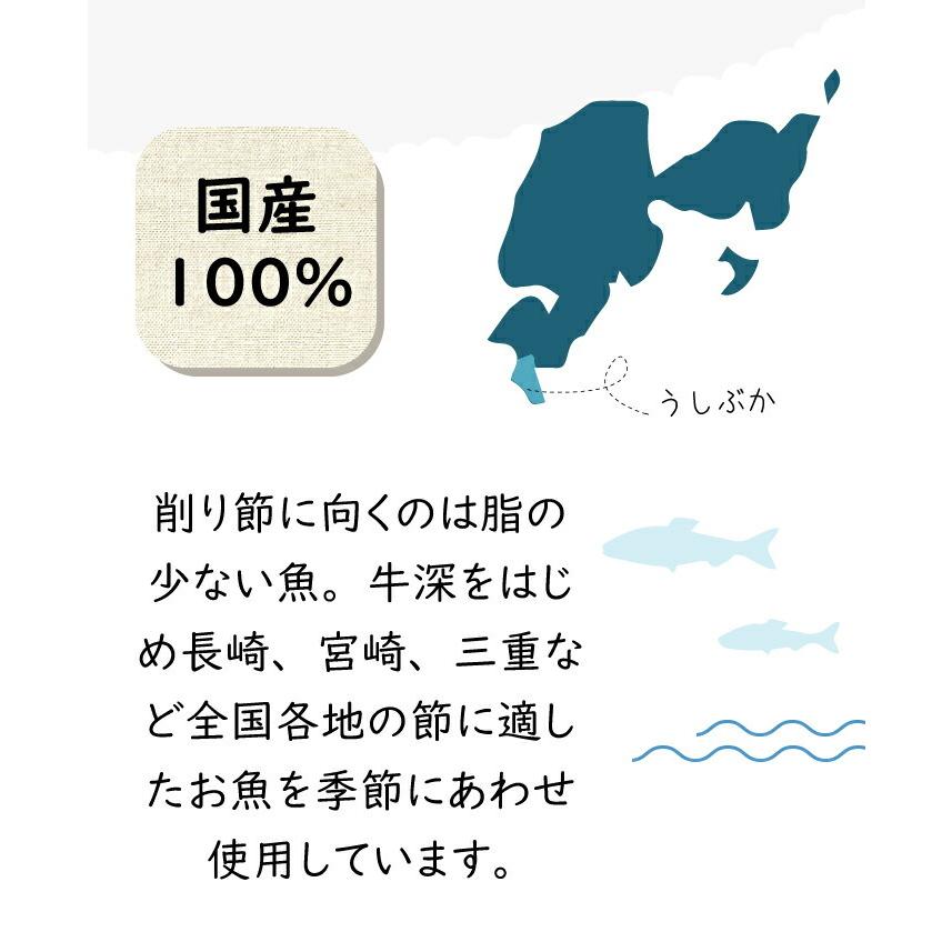 削り節 国産 薄削り  合わせ 雑節 和食節 わしょくぶし わしょく節 あじ節 さば節 いわし節 エラさん家のわしょくぶし 江良水産 天草 牛深 熊本 出汁 あさイチ |  | 03