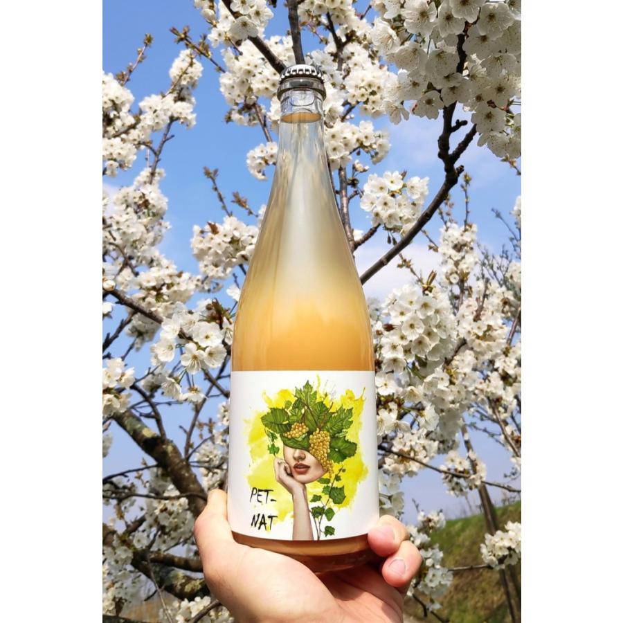 【スロベニアワイン】ペットナット オレンジワイン ナチュラルワイン 自然派ワイン 白ワイン スパークリングワイン Pet-Nat フォルナザリック SO2無添加 fornaza |  | 02