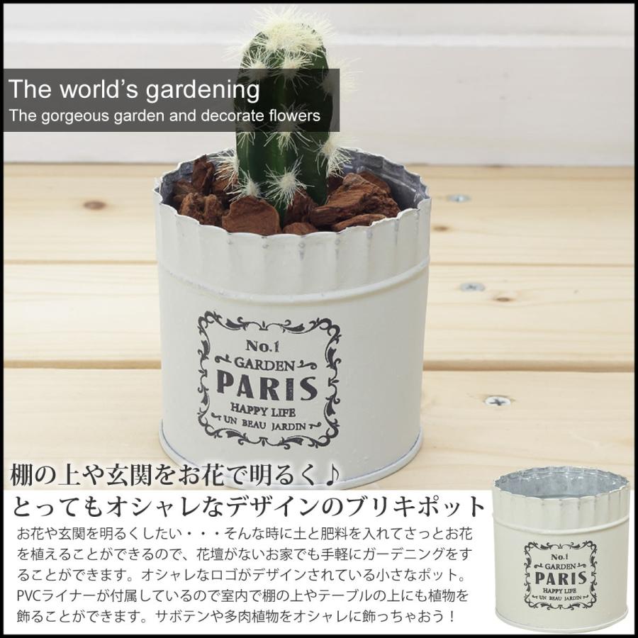 セール 植木鉢 ブリキポット2 5号 ブリキポット インテリア 多肉植物 多肉 サボテン オシャレ フラワーポット 穴あり Pvc付き アンティーク調 ぽっきり Hi8 チェリーベル Yahoo 店 通販 Yahoo ショッピング