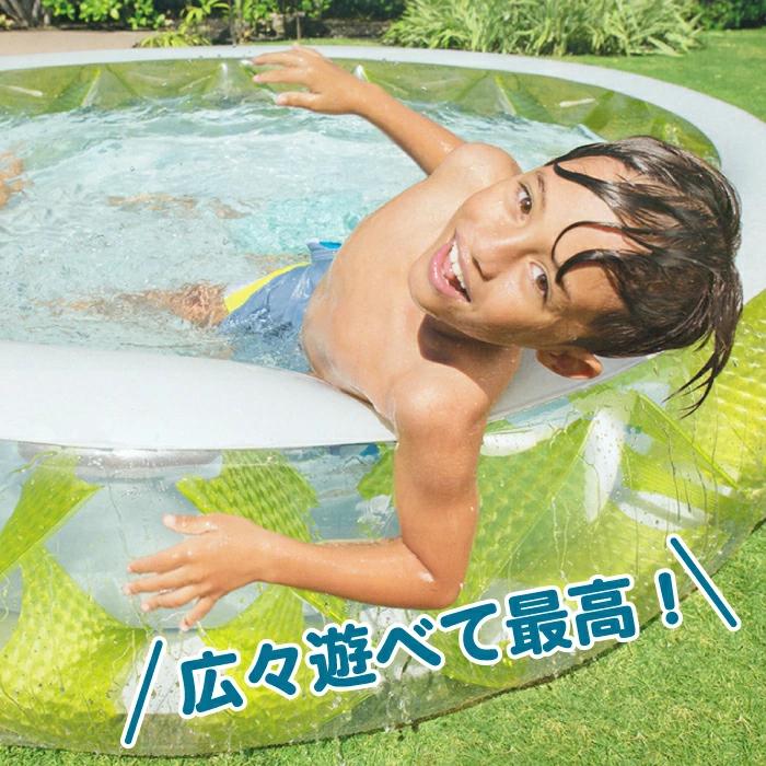 プール 大型プール 2m ファミリー インテックス 円型 スケルトンプール