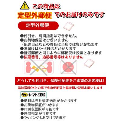 プール修理用テープ ビニールプール 修理用パッチ 6枚入り インテックス INTEX プール修理 リペアパッチ  クリックポスト | INTEX | 02