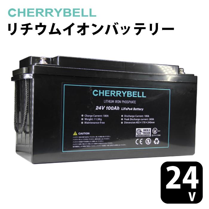 ショップ リチウムイオンバッテリー 24V 100Ah Bluetooth DSP内蔵