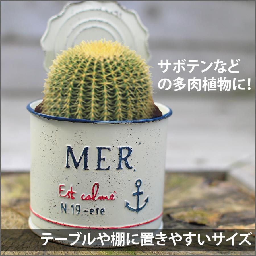 植木鉢 プランメールカーカン M ブリキポット インテリア 多肉植物 多肉 サボテン オシャレ フラワーポット 穴あり Pvc付き アンティーク調 Mc3310 チェリーベル Yahoo 店 通販 Yahoo ショッピング