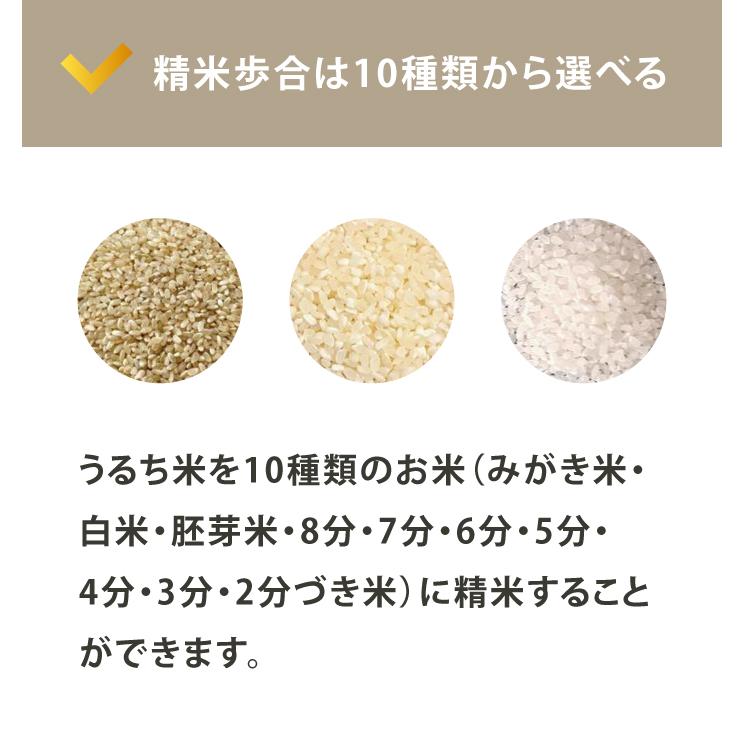 道場六三郎監修 精米機 匠味米 MB-RC52B 5合対応 家庭用 無洗米対応