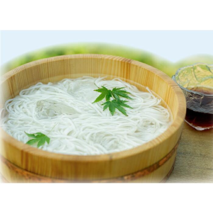 半生そうめん 父の日 そうめん お中元 小豆島 太 麺 夏ギフト 製麺所 船波製麺所 素麺 抹茶そうめん まっちゃ店長いち押し 250g 半生そうめん 小豆島 素麺 |  | 01