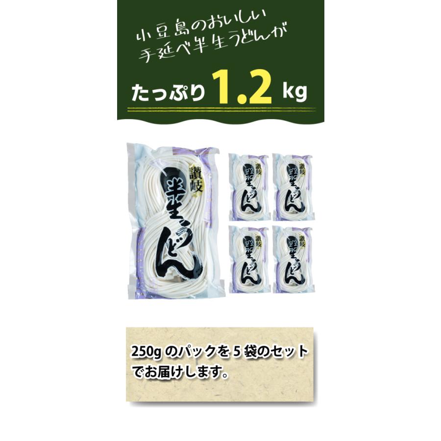 半生 うどん 1.2kg 手延べ 店長イチオシ  250g×5袋 ウドン 小豆島食品 ストック 手延べうどん 船波製麺所 |  | 08