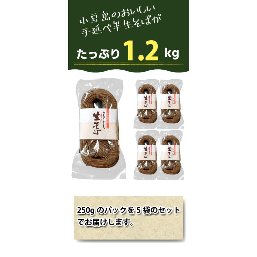 【６月より受注再開】船波製麺所  そば 半生そば 讃岐 店長いち押し 250g ×5袋セット 1.2kg  小豆島 ソバ 蕎麦  生と書いてありますが半生です |  | 07