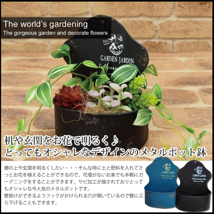 植木鉢 アイアンポット 壁掛け 省スペース ポット インテリア 多肉植物 多肉 サボテン オシャレ フラワーポット ポッキリ ぽっきり |  | 01