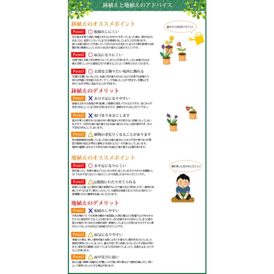 植木鉢 アイアンポット 壁掛け 省スペース ポット インテリア 多肉植物 多肉 サボテン オシャレ フラワーポット ポッキリ ぽっきり |  | 03