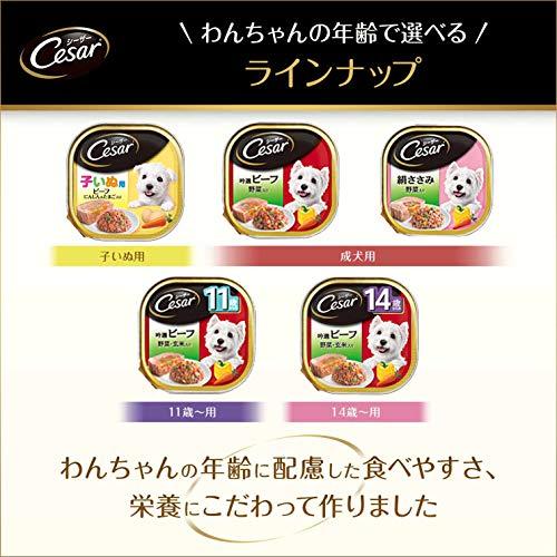 シーザー ドッグフード 14歳からの 吟選ビーフ 野菜・玄米入り シニア犬用 100g×96個 (ケース販売) ロイヤルカナン SHN ミディアム ジュニア 犬用 10kg OC1285508085(12069円)