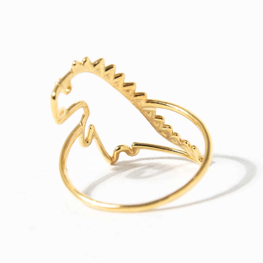 【激レア】きりんさんリング★ 20131012194246.jpg