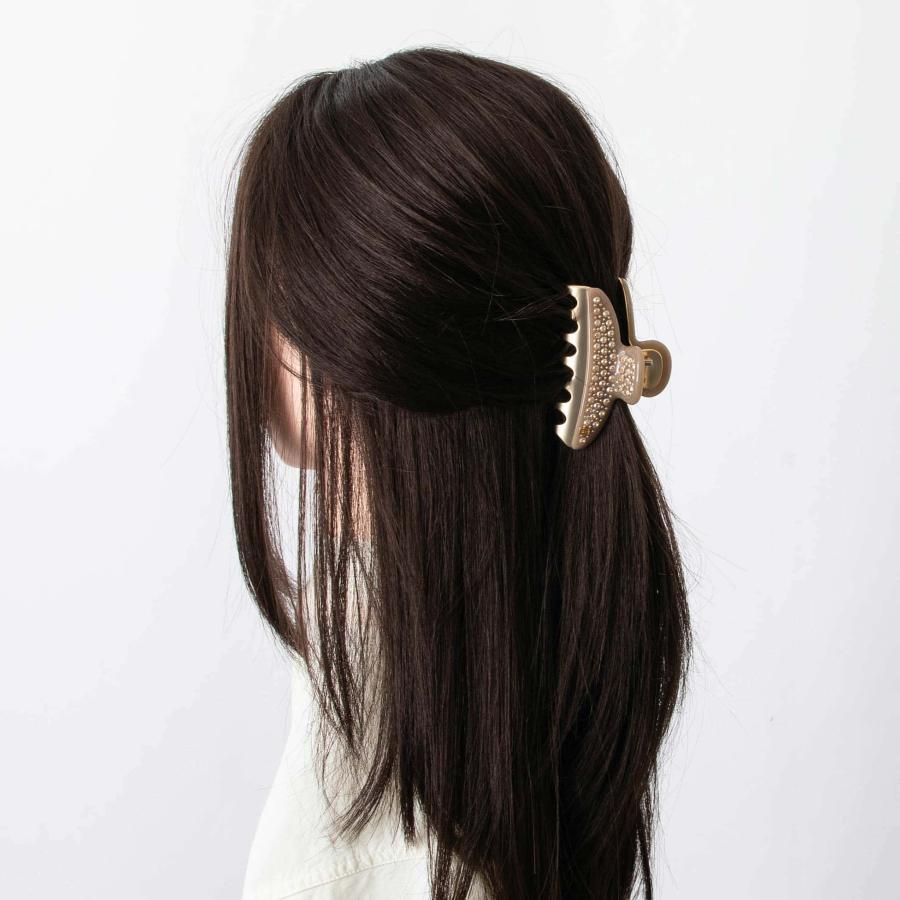 アレクサンドル ドゥ パリ ALEXANDRE DE PARIS ヘアクリップ（ミディアムサイズ） CREPUSCULE D ETE VENDOME CLIP M レディース 7.5cm ICCM-15571-04P26の画像