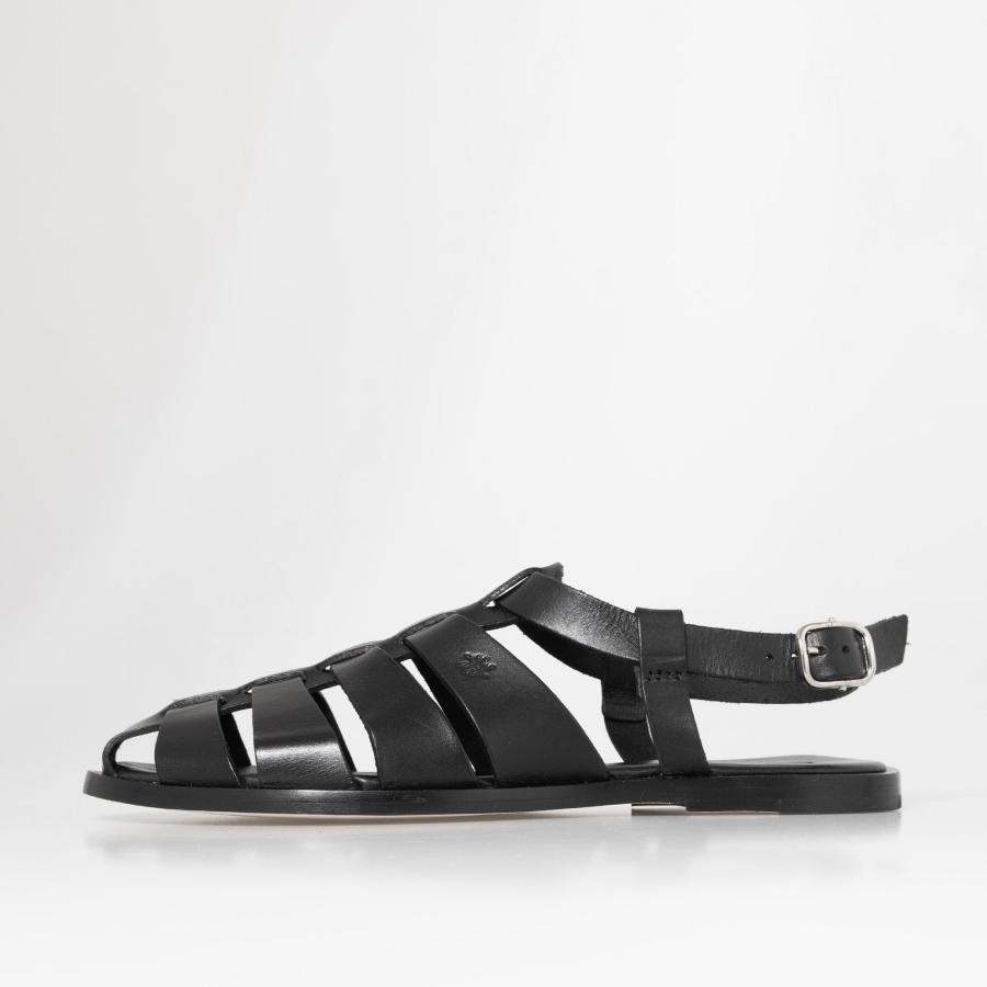 ドラゴンディフュージョン　ボルドー　サンタクローチェ　スモール ドラゴンディフュージョン ボルドー サンタクローチェ スモール