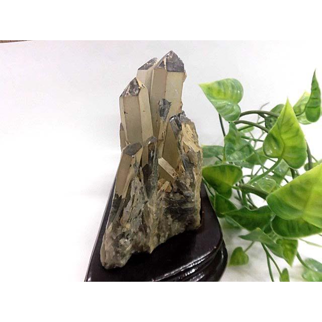 天然石 黒水晶クラスター 台座付 200720589 天然石 黒水晶クラスター