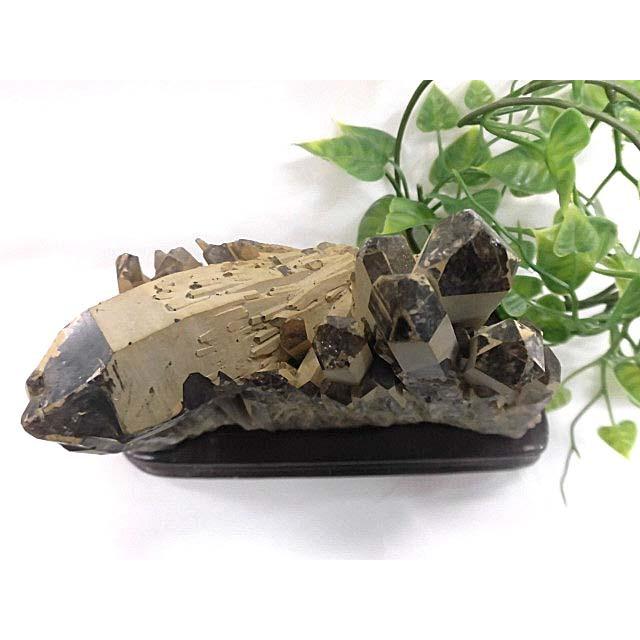 天然石 黒水晶クラスター 台座付 200720589 天然石 黒水晶クラスター