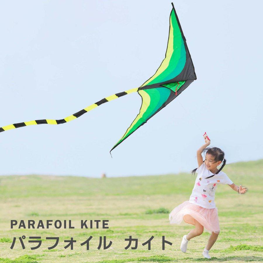 カイト 凧 長尾563cm 凧揚げ 凧上げ タコ揚げ 外遊び キッズ 子供