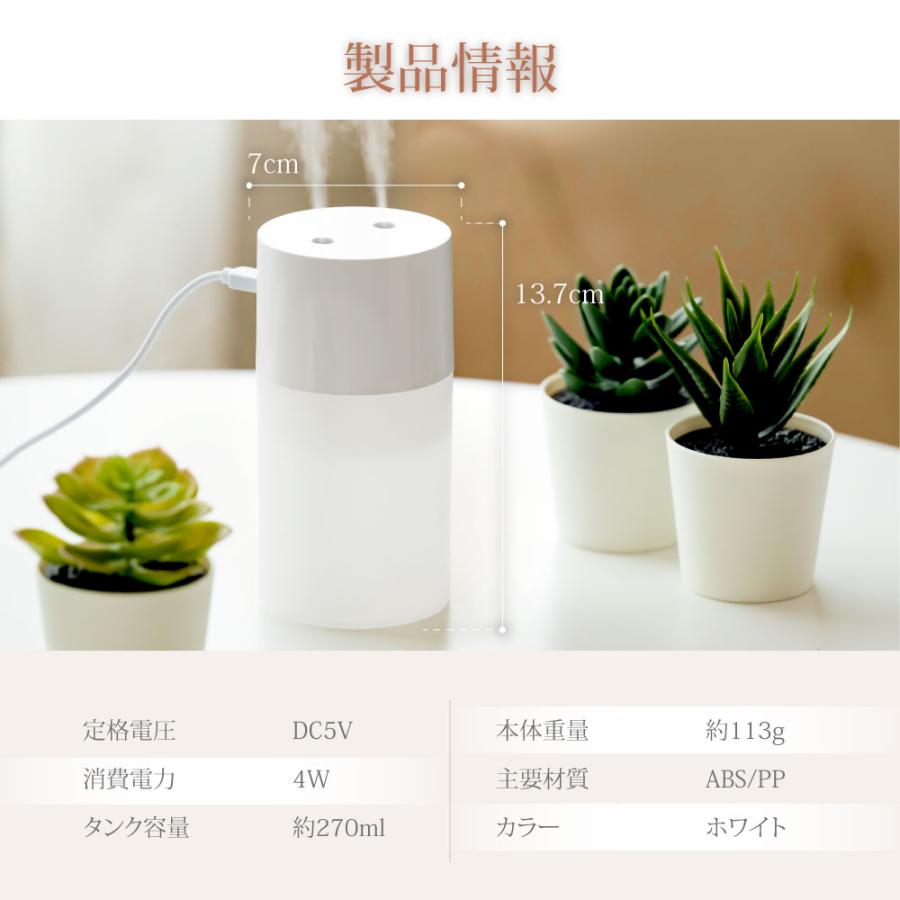 超音波 卓上加湿器 ミニ加湿器 2吹出口 軽量 静音 USB給電式 透明