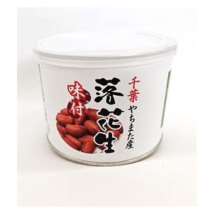落花生缶詰 味付ピーナッツ 100g | 
