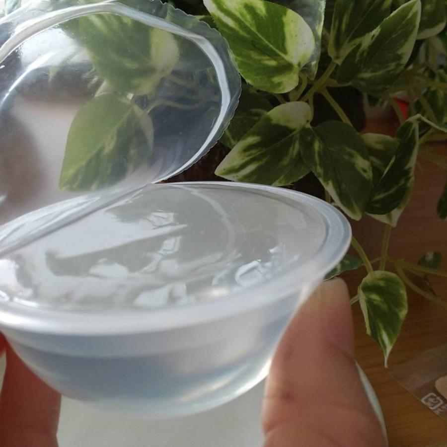 日本未発売 水わらび餅 水の毬 1個 Wantannas Go Id