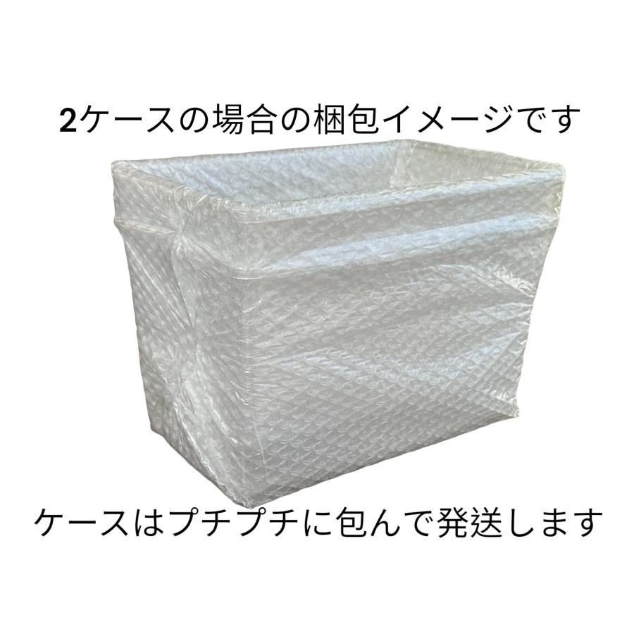 シーラケース コバエシャッター（中）3個 送料込み : 九十九里クワガタ 