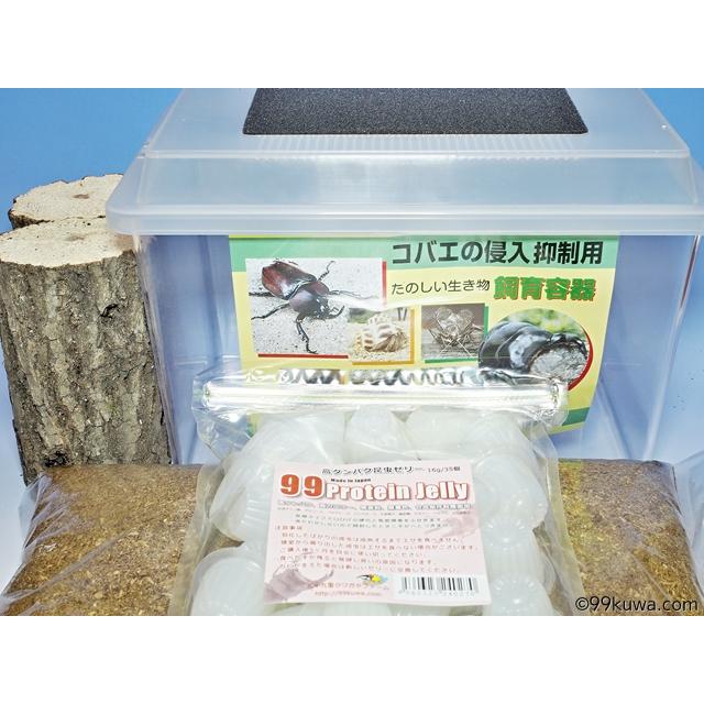 FAS（ファス） オオクワガタ産卵採卵セット : 九十九里クワガタ