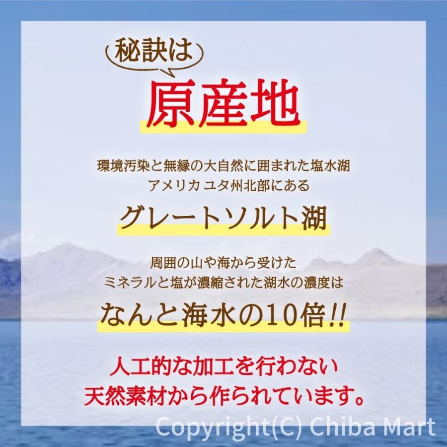 グレートマグネシウム マグネシウム サプリ 高濃度マグネシウム 50ml ファスティング ミネラル マグネシウム 液体｜chibamart｜12