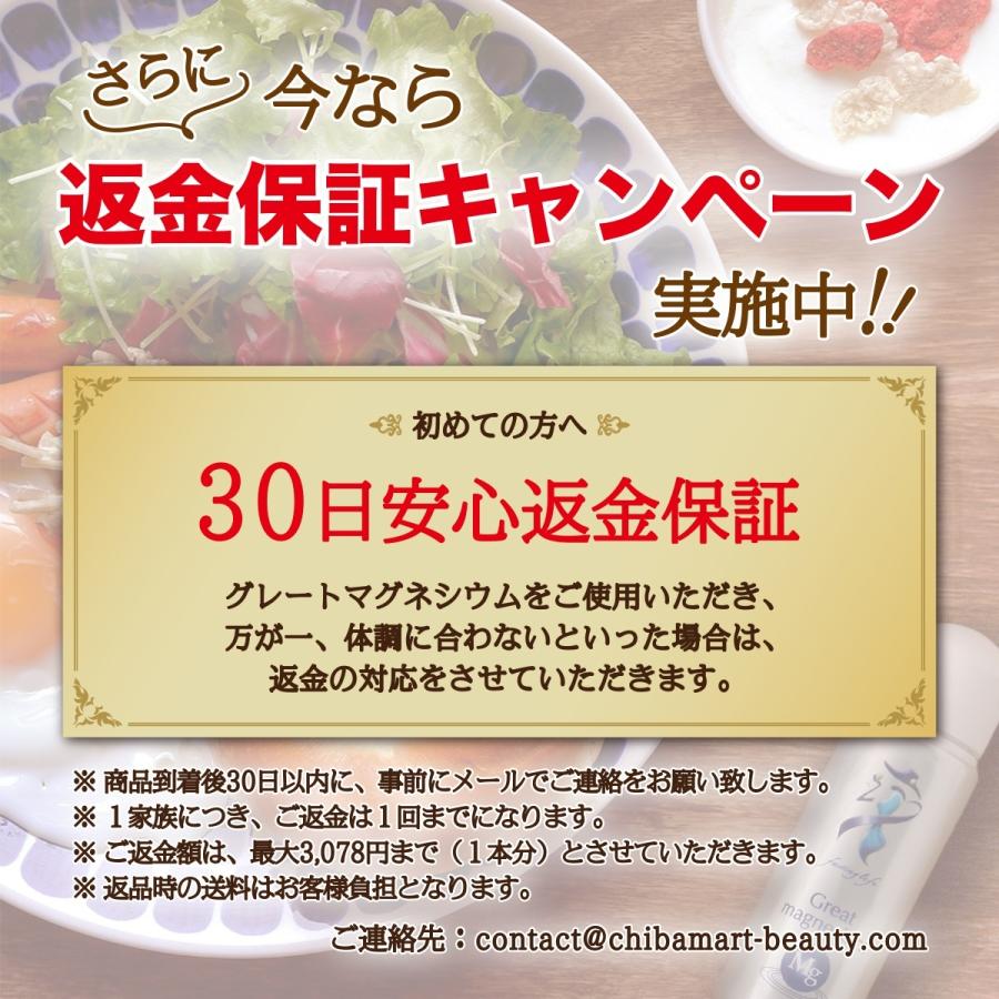 グレートマグネシウム マグネシウム サプリ 高濃度マグネシウム グレートマグネシウム マグネシウム サプリ 高濃度マグネシウム