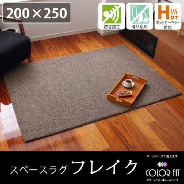 防音 ラグマット/絨毯 〔フレイク 200cm×250cm 3帖 グリーン〕 長方形 床暖房可 防滑 オールシーズン 〔リビング〕〔代引不可〕 防音 ラグマット/絨毯 200cm×250cm 3帖 長方形 床暖房可 防滑 オールシーズン
