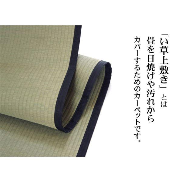 い草 上敷き/ラグマット 〔麻綿織 本間3畳 約191×286cm〕 抗菌 防臭 調湿 消臭 日本製 熊本県八代産イ草使用 〔リビング〕_2