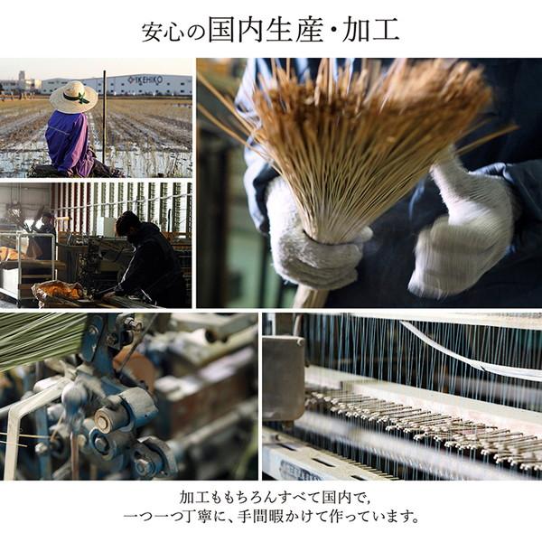い草 花ござ ラグマット/絨毯 〔ネイビー 江戸間3畳 約174×261cm〕 日本製 抗菌 防臭 消臭 調湿 自然素材 〔リビング〕