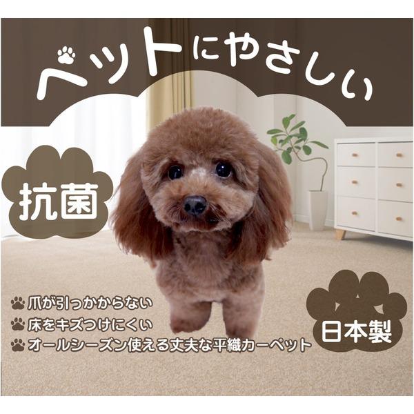 カーペット ラグ 平織 抗菌 ペットの爪が引っかかりにくい レベルカット / 江戸間 4.5畳 261×261cm ローズ 日本製 Nリーダー 九装_1