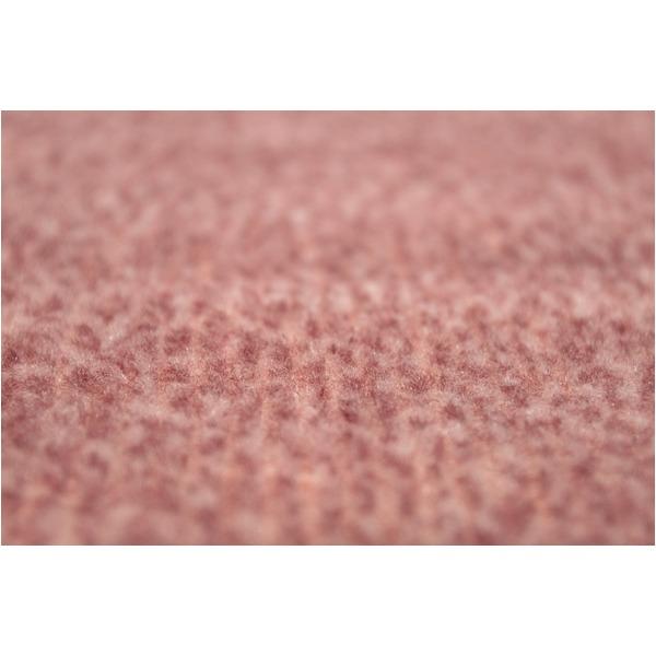 カーペット ラグ 平織 抗菌 ペットの爪が引っかかりにくい レベルカット / 江戸間 4.5畳 261×261cm ローズ 日本製 Nリーダー 九装_3
