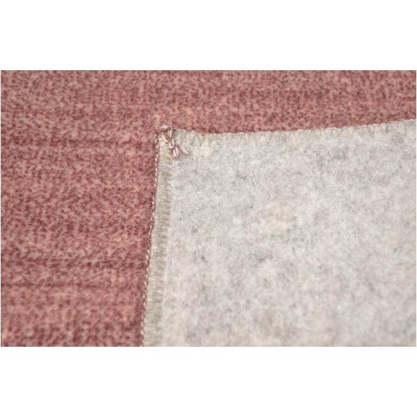 カーペット ラグ 平織 抗菌 ペットの爪が引っかかりにくい レベルカット / 江戸間 4.5畳 261×261cm ローズ 日本製 Nリーダー 九装_5