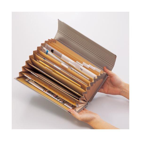 (まとめ）ライオン事務器 ドキュメントファイルA4 32ポケット DC-431N 1冊〔×3セット〕_2