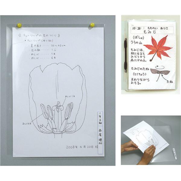 （まとめ）透明掲示ホルダー A4〔×100セット〕_1