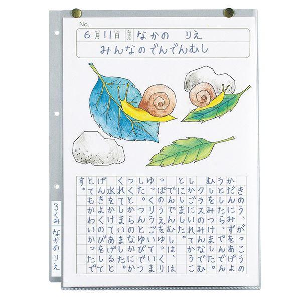 （まとめ）透明掲示ホルダー A4〔×100セット〕_3