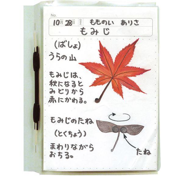 （まとめ）透明掲示ホルダー A4〔×100セット〕_4