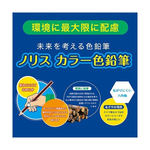 (まとめ) ステッドラー ノリスカラー色鉛筆 紙ケース入 12色(各色1本) 185 C12PB 1パック 〔×20セット〕の画像