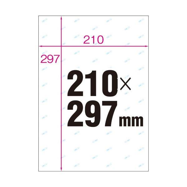 (まとめ) ヒサゴ 抗菌紙ラベル A4 ノーカット OPK862 1冊(20シート) 〔×5セット〕_1