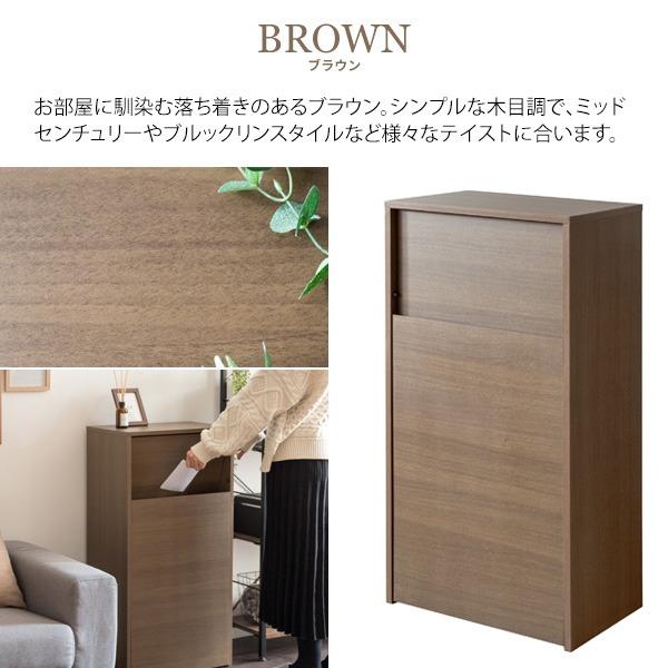 ダストボックス ゴミ箱 幅45cm 45L ブラウン プッシュ扉式 キャスター付き Helios 組立品 キッチン 台所〔代引不可〕_1
