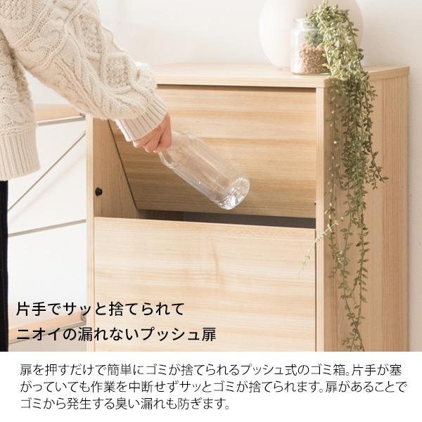 ダストボックス ゴミ箱 幅45cm 45L ナチュラル スリム プッシュ扉式 キャスター付き Helios 組立品 キッチン 台所〔代引不可〕の画像