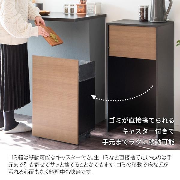 ダストボックス ゴミ箱 幅45cm 45L ナチュラル スリム プッシュ扉式 キャスター付き Helios 組立品 キッチン 台所〔代引不可〕の画像
