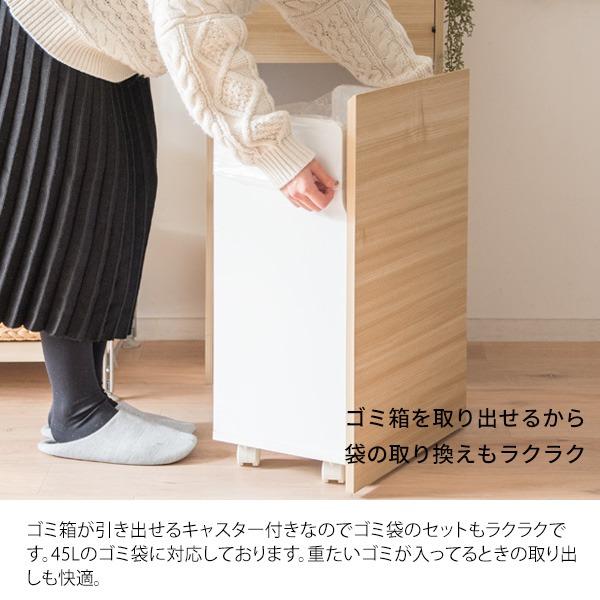 ダストボックス ゴミ箱 幅45cm 45L ナチュラル スリム プッシュ扉式 キャスター付き Helios 組立品 キッチン 台所〔代引不可〕の画像