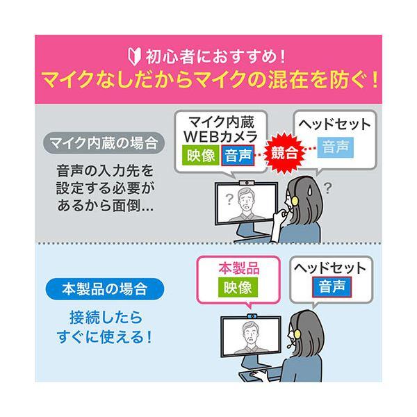サンワダイレクト WEBカメラマイクなし 画角60度 狭角 フルHD1080P 200万画素 三脚対応 400-CAM086 1台