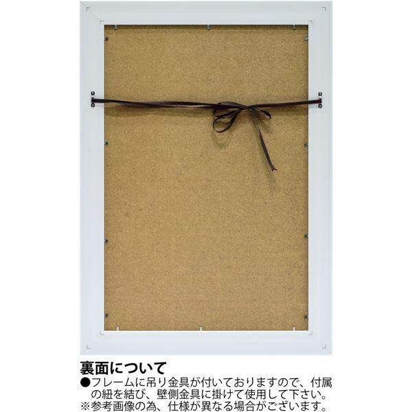 ユーパワー リリア・オルロヴァー・ホームズ Gel加工 アートフレーム 「サマーフラワー」の画像