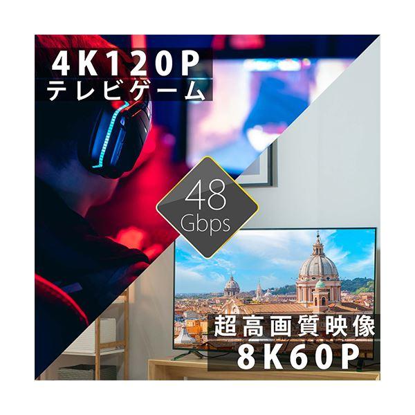 HORIC HDMIケーブル 9m シルバー ウルトラハイスピード準拠品 HDM90-010SV_1
