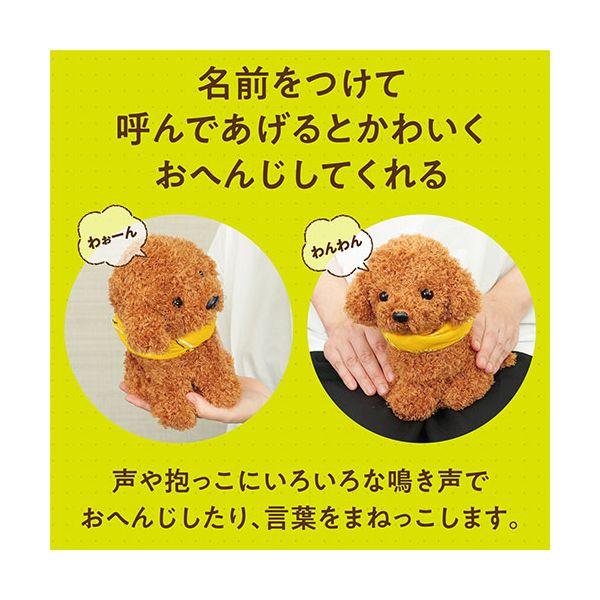 ARTEC よんで だっこして おへんじアニマル2 トイプードル ATC33015_2